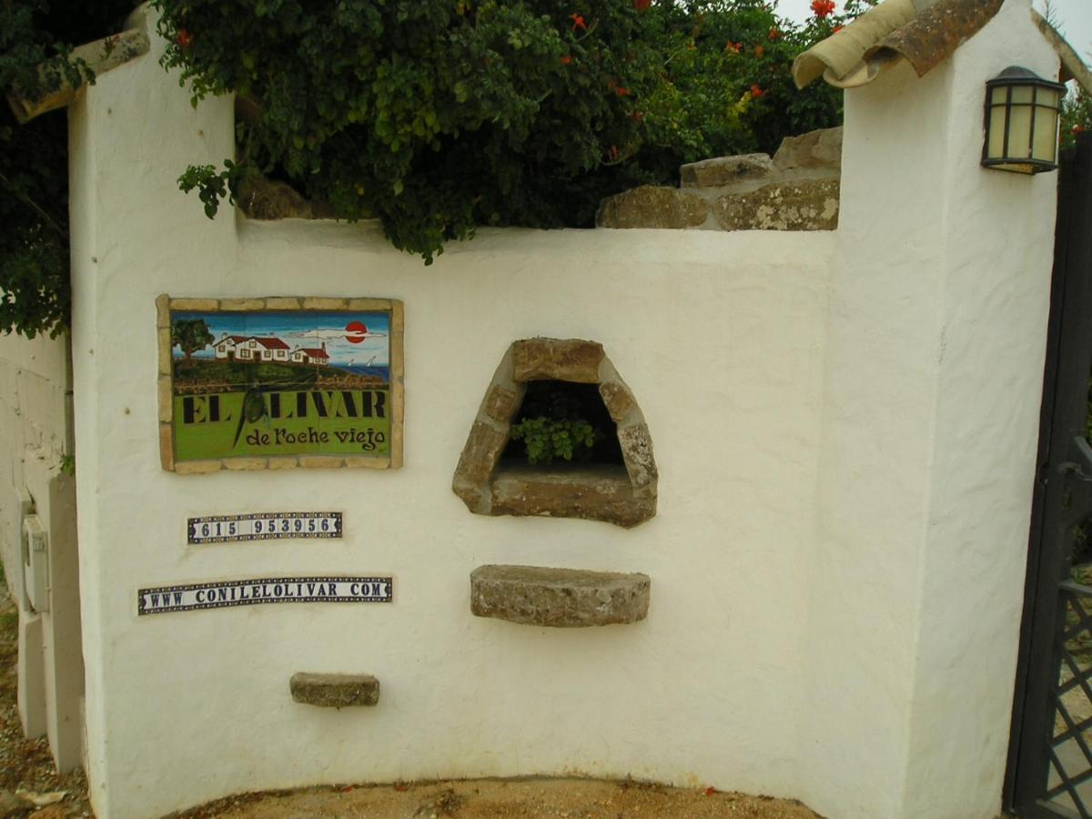 El Olivar De Roche Viejo Conil De La Frontera Exterior photo
