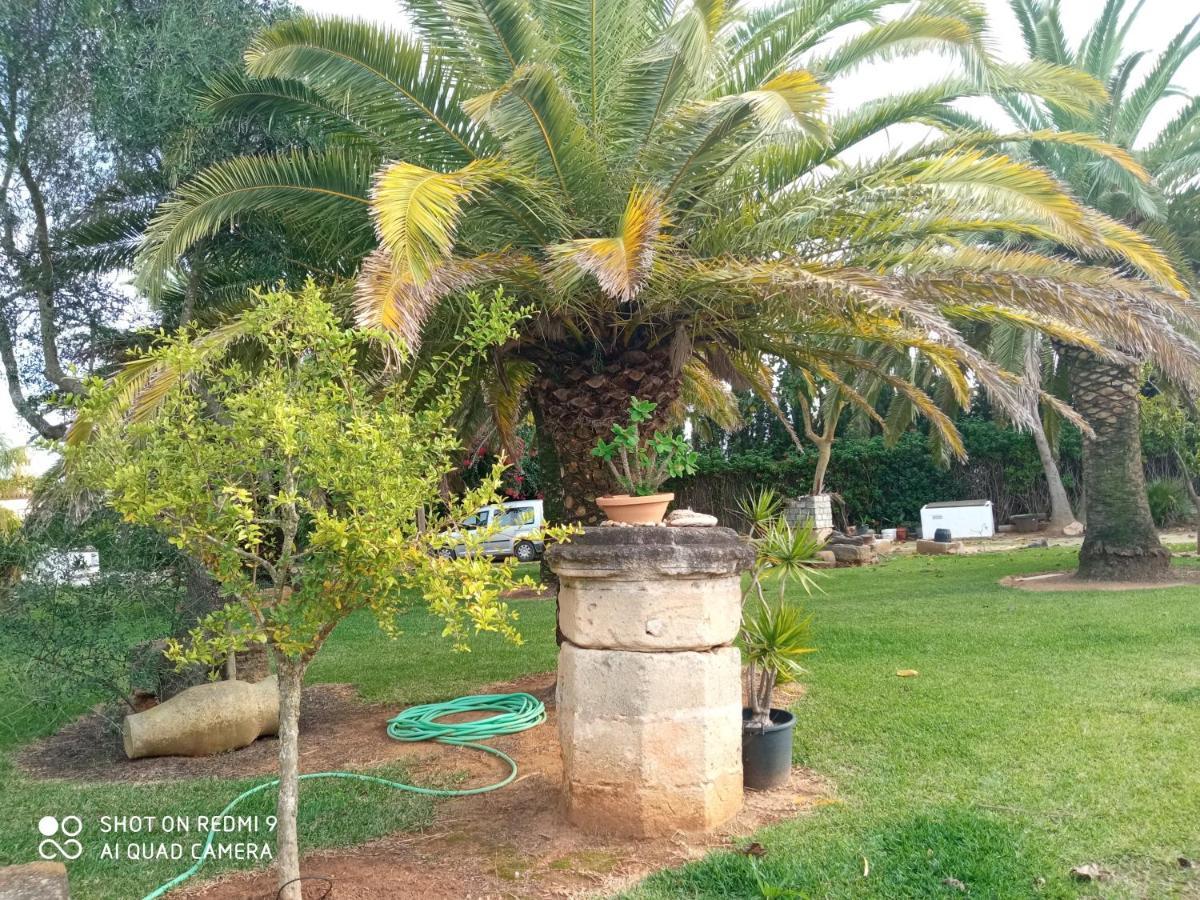 El Olivar De Roche Viejo Conil De La Frontera Exterior photo