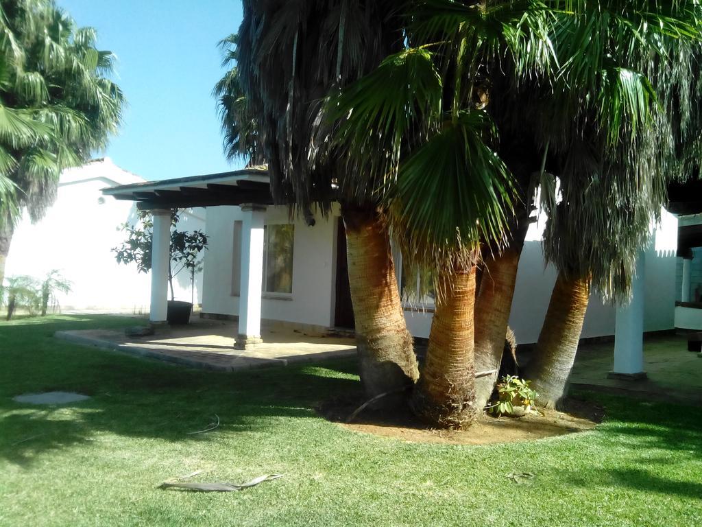 El Olivar De Roche Viejo Conil De La Frontera Exterior photo