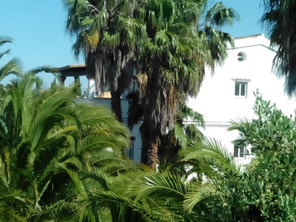 El Olivar De Roche Viejo Conil De La Frontera Exterior photo