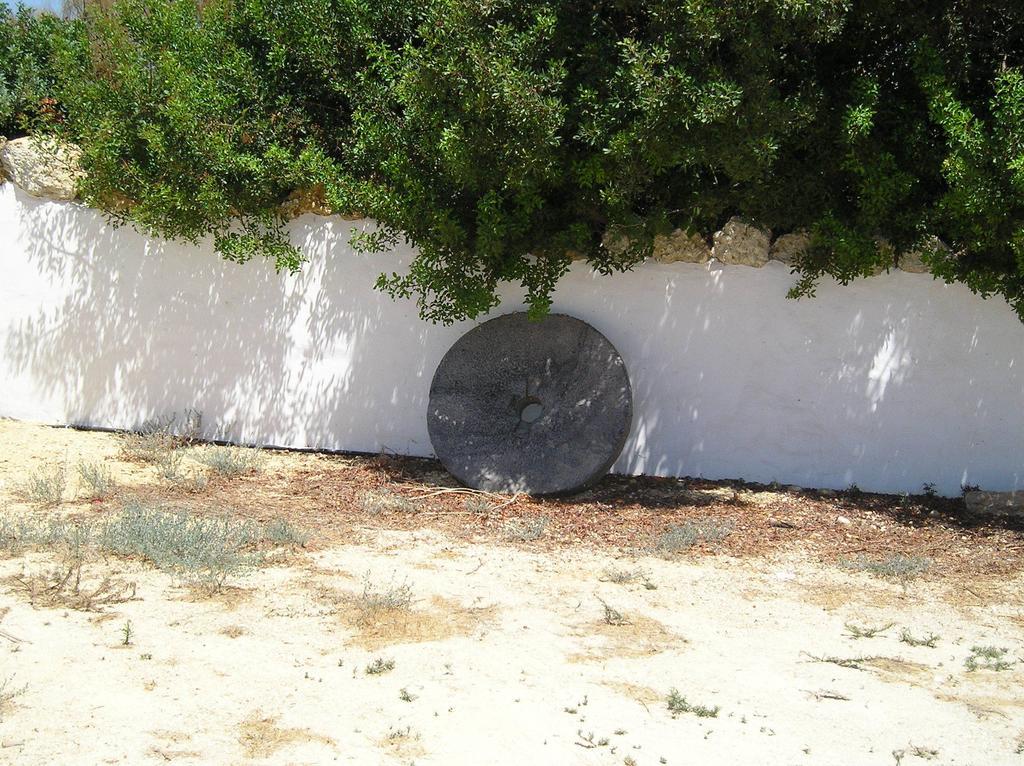 El Olivar De Roche Viejo Conil De La Frontera Exterior photo