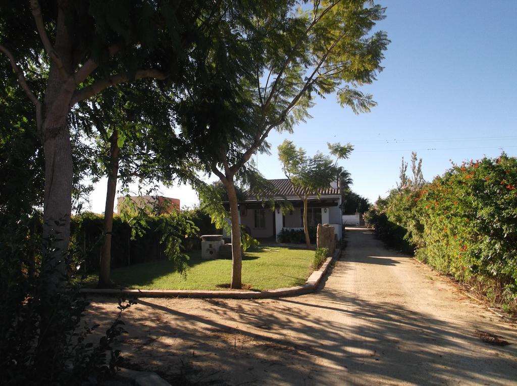 El Olivar De Roche Viejo Conil De La Frontera Exterior photo